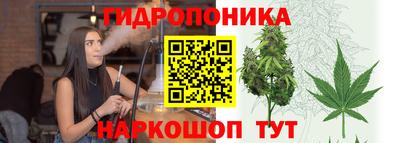 jwh Краснознаменск