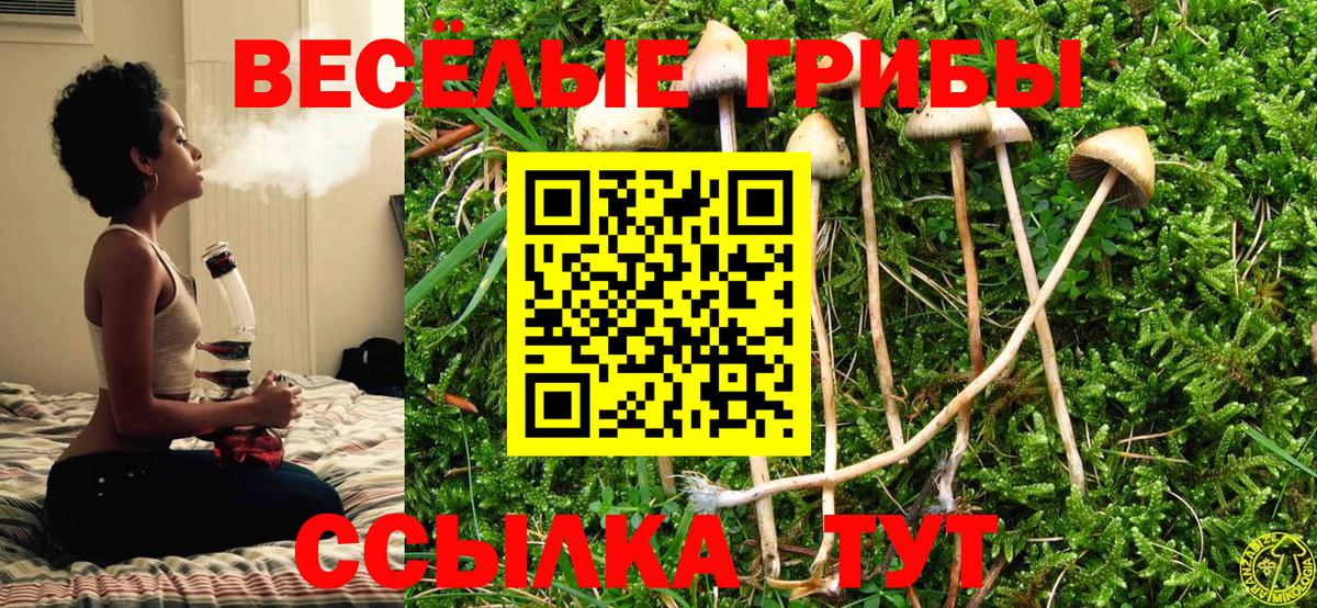 Псилоцибиновые грибы Cubensis  Вход с VPN  даркнет сайт  Сосновый Бор 